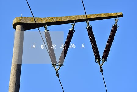 浦发逾期俩月
