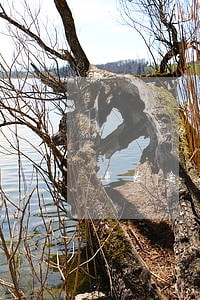 浦发逾期停卡降额 浦发逾期停卡降额