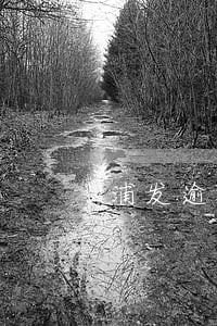 浦发逾期催款电话 浦发逾期催款电话
