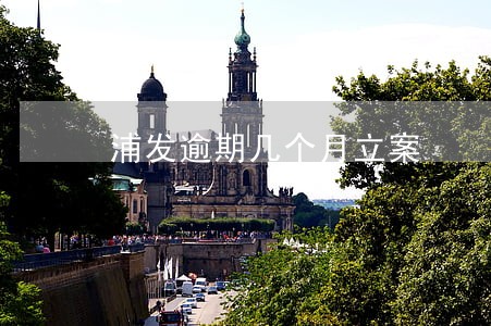 浦发逾期几个月立案 浦发逾期几个月立案