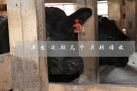 浦发逾期几个月转催收