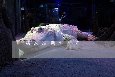 浦发逾期几十万 浦发逾期几十万