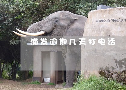 浦发逾期几天打电话