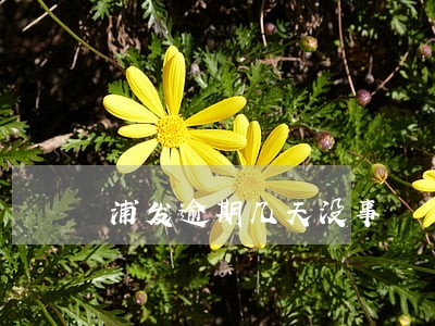浦发逾期几天没事