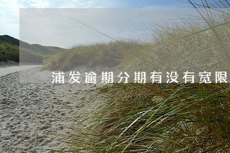 浦发逾期分期有没有宽限期