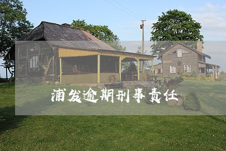 浦发逾期刑事责任