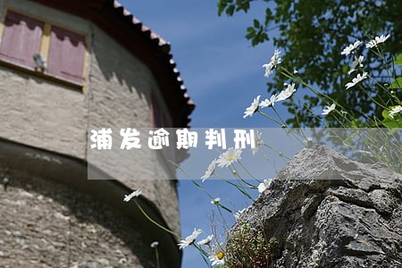 浦发逾期判刑 浦发逾期判刑