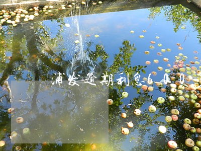 浦发逾期利息600多 浦发逾期利息600多
