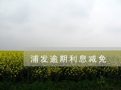 浦发逾期利息减免