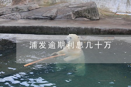 浦发逾期利息几十万 浦发逾期利息几十万