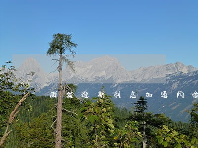 浦发逾期利息加违约金 浦发逾期利息加违约金