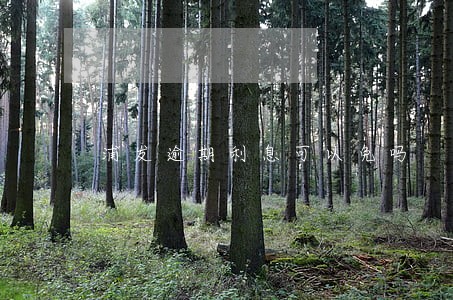 浦发逾期利息可以免吗 浦发逾期利息可以免吗