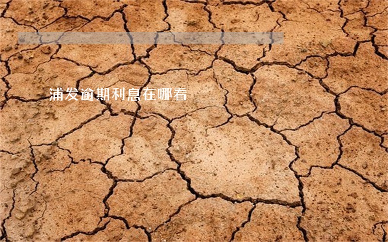 浦发逾期利息在哪看 浦发逾期利息在哪看