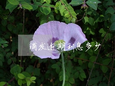 浦发逾期利息多少 浦发逾期利息多少