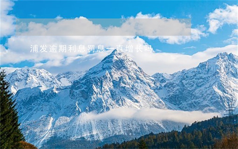 浦发逾期利息罚息一直增长吗