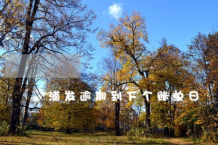 浦发逾期到下个账单日