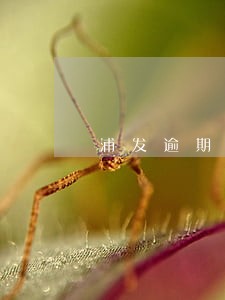 浦发逾期前协商流程 浦发逾期前协商流程