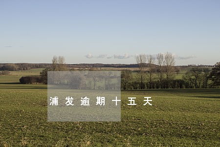 浦发逾期十五天