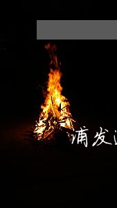 浦发逾期十几天