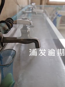 浦发逾期十几天了行吗