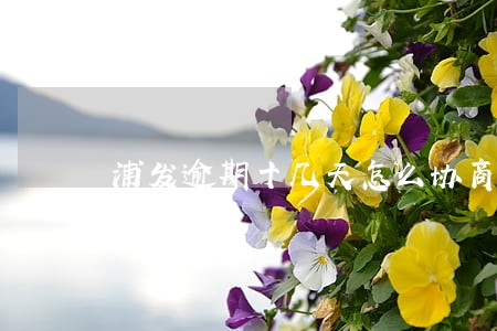 浦发逾期十几天怎么协商招商