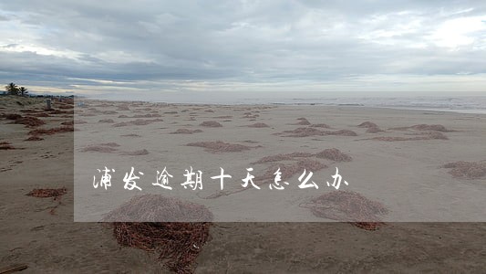 浦发逾期十天怎么办