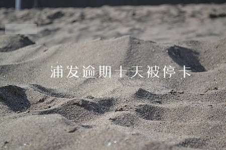浦发逾期十天被停卡