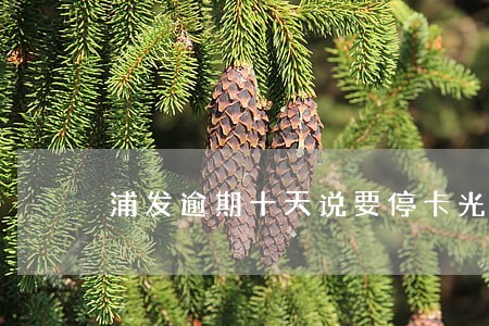 浦发逾期十天说要停卡光大 浦发逾期十天说要停卡光大