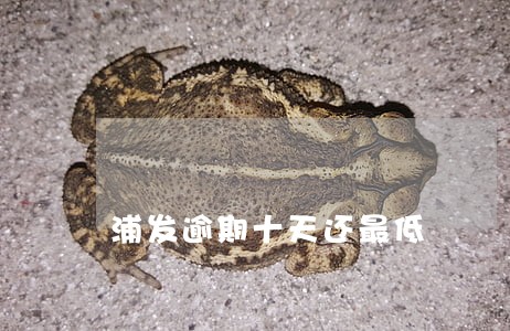 浦发逾期十天还最低 浦发逾期十天还最低