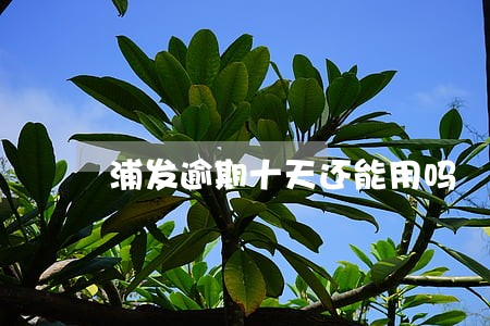 浦发逾期十天还能用吗 浦发逾期十天还能用吗