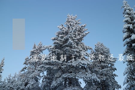 浦发逾期十天还能还最低还款吗 浦发逾期十天还能还最低还款吗