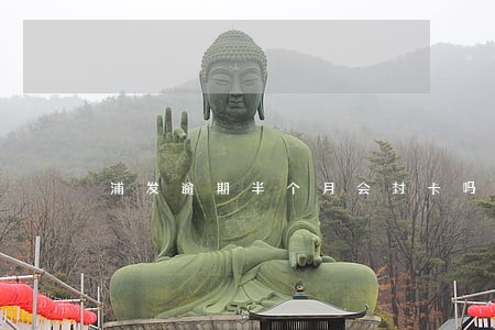 浦发逾期半个月会封卡吗 浦发逾期半个月会封卡吗