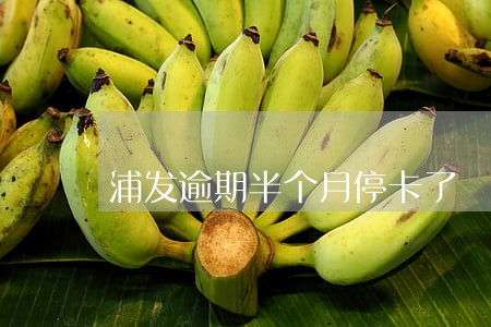 浦发逾期半个月停卡了 浦发逾期半个月停卡了