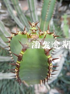 浦发逾期半个月还了刷不出来