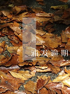 浦发逾期半年了