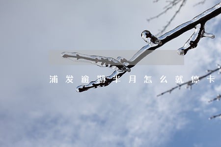 浦发逾期半月怎么就停卡了 浦发逾期半月怎么就停卡了