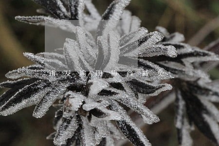 浦发逾期协商减免 浦发逾期协商减免