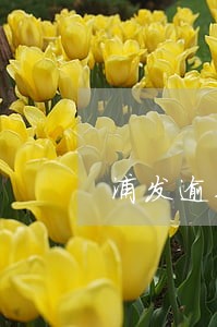 浦发逾期协商减少本金 浦发逾期协商减少本金