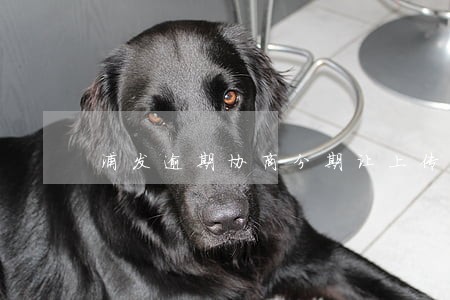 浦发逾期协商分期让上传材料 浦发逾期协商分期让上传材料