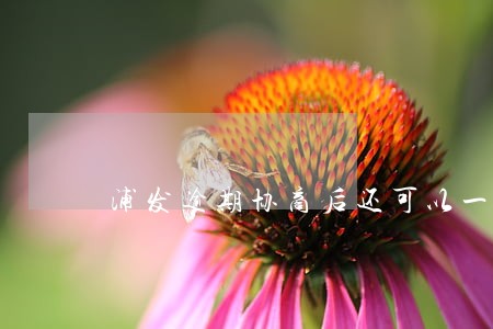 浦发逾期协商后还可以一次还清吗 浦发逾期协商后还可以一次还清吗