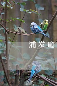 浦发逾期协商失败让还全款 浦发逾期协商失败让还全款