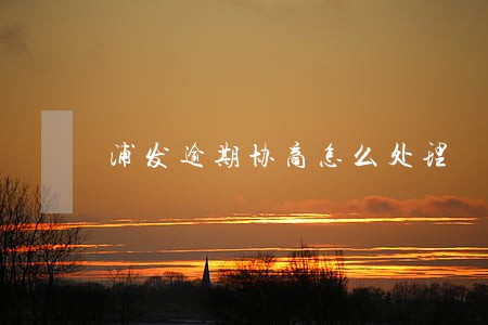浦发逾期协商怎么处理 浦发逾期协商怎么处理