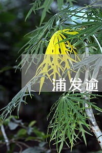 浦发逾期协商方案 浦发逾期协商方案