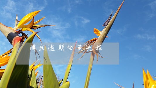 浦发逾期协商流程