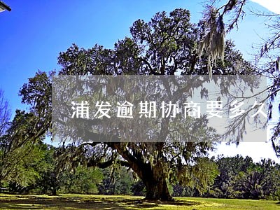 浦发逾期协商要多久