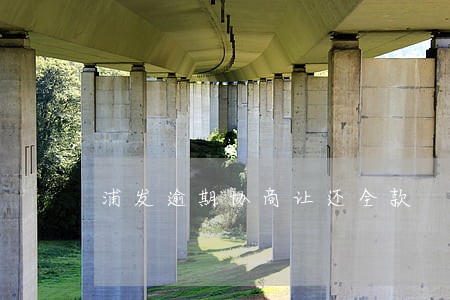 浦发逾期协商让还全款 浦发逾期协商让还全款