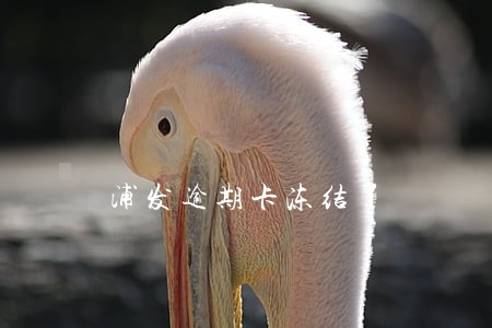浦发逾期卡冻结了 浦发逾期卡冻结了