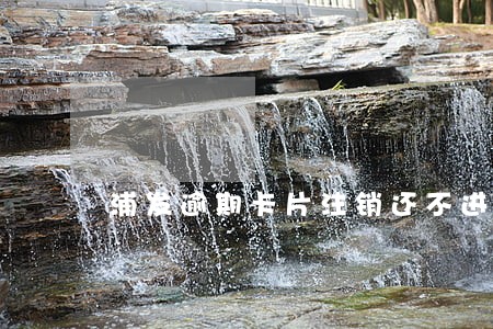 浦发逾期卡片注销还不进去 浦发逾期卡片注销还不进去