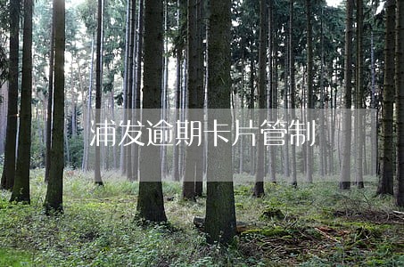 浦发逾期卡片管制 浦发逾期卡片管制