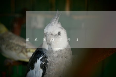 浦发逾期卡锁了 浦发逾期卡锁了